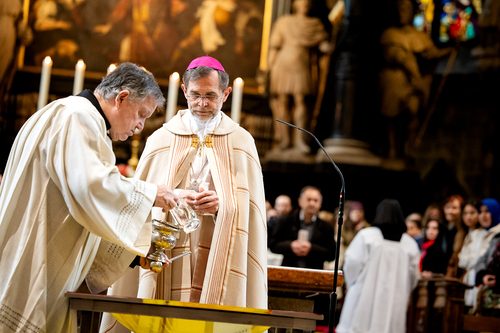 Erzdiözese Wien/Schönlaub