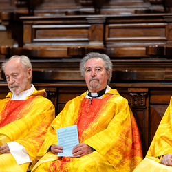 Priesterjubiläen / Erzdiözese Wien/Schönlaub
