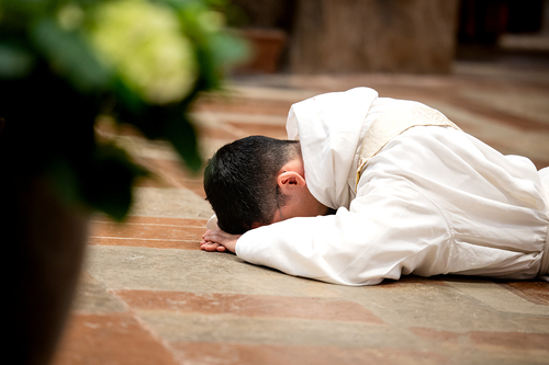 Priesterweihe Ambruster / Erzdiözese Wien/Schönlaub