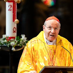 Priesterjubiläen / Erzdiözese Wien/Schönlaub