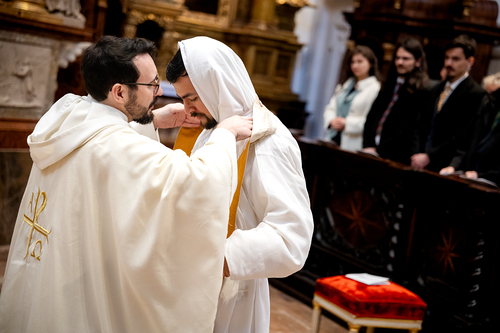 Priesterweihe Ambruster / Erzdiözese Wien/Schönlaub