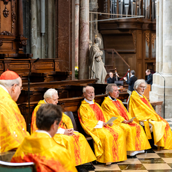 Priesterjubiläen / Erzdiözese Wien/Schönlaub