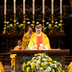 Priesterjubiläen / Erzdiözese Wien/Schönlaub