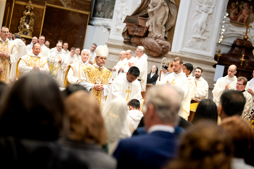 Priesterweihe Ambruster / Erzdiözese Wien/Schönlaub